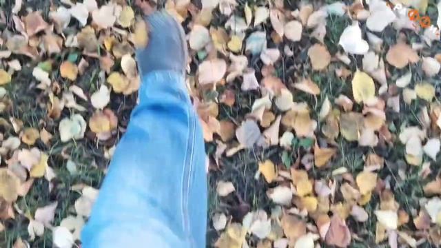 Юлия и РаФФи - Листья опавшие. смотреть онлайн