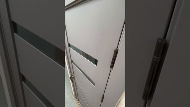 Межкомнатная дверь 300301, Barhat Grey Зеркало смотреть онлайн