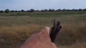 10.08.2023 КоАП РФ Статья 7.1. Самовольное занятие земельного участка