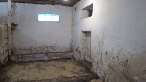 Содержание свиней, в домашних условиях.
