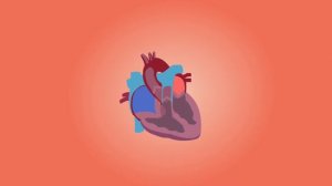 #Раунатин хақида | #Raunatin xaqida maʼlumot | #Gipertenziya | #Гипертензия