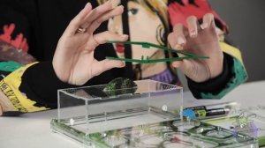 Обзор комплекта муравьиной фермы Мистер Ант