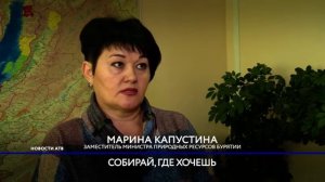 В Бурятии разрешат разрешать валежник повсеместно, бесплатно и без смс и регистрации