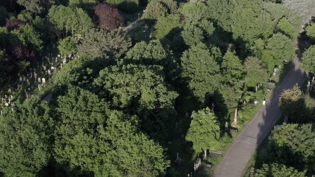 Buried in Hampstead смотреть онлайн