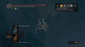 Скип в долину драконов из сада темных корней в Dark souls remastered