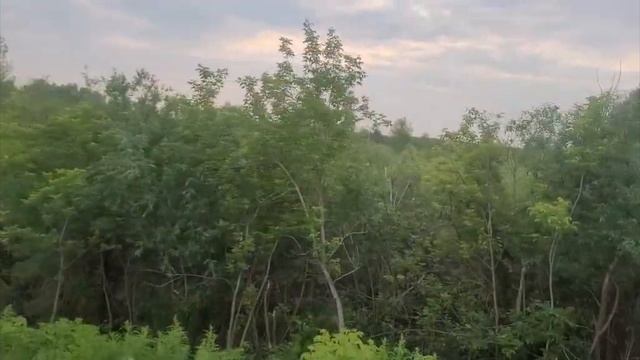 Приехали в санаторий СИБИРЬ на лечение спины в 17 км от Тюмени! ЧАСТЬ 1