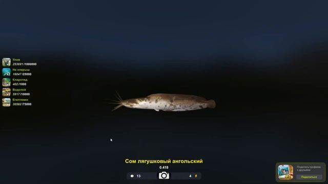 Сом лягушковый ангольский, редкая рыба в игре Трофейная рыбалка 2, река Нил, локация Водопой
