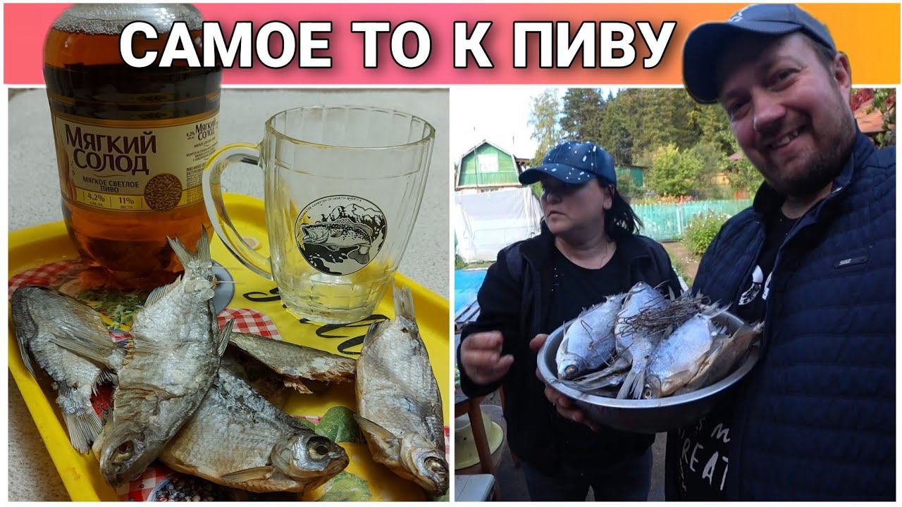 ВЛОГ! Очень жаль что так получилось/Насушили рыбки к пиву//На даче с Аллой//Простая жизнь/Моя семья