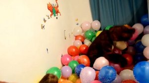 Шарики лопаем с Машей Медведем и Артемом!!! Balls burst with Masha Bear and Artem!!!