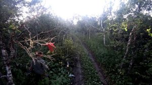 Поездка на перевал Дятлова и Маньпупунер (4K)