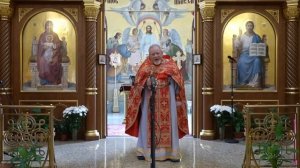 ВСЁ УЖАСНО. ГДЕ БОГ? / протоиерей Георгий Поляков