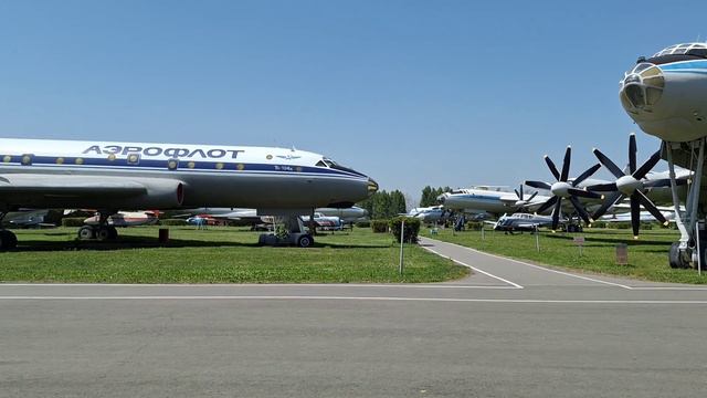 июль 2024 - Санино краткое сочинение на тему "Как я провела отпуск"