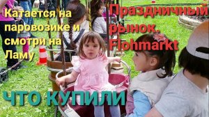 Праздничный рынок. Flohmarkt. Элизабет катается на паровозике и смотрит Ламу. Что купили.