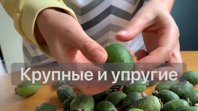 Едят ли фейхоа? С кожурой или без? Как выбрать и дозреть ягоду. смотреть онлайн