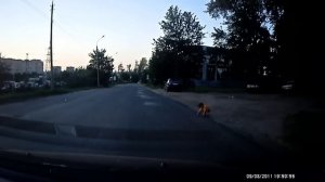 Девушка и ребёнок бросились под колёса в Ижевске