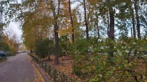 Великий Новгород/Золотая осень/26.10.2023/Ждем снег