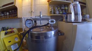 Язь в масле в  Автоклаве Нефор 20/4