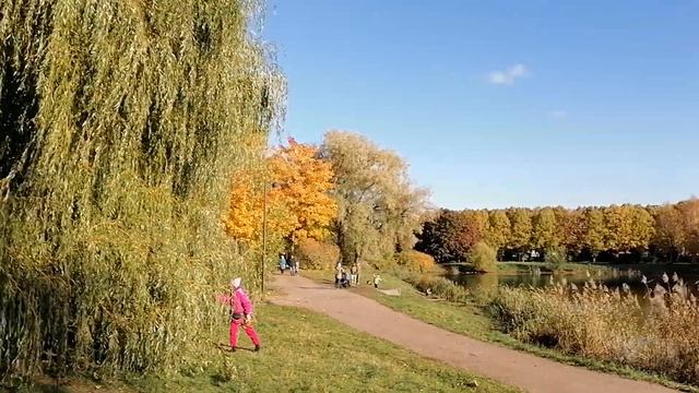 Санкт-Петербург. Южно-Приморский парк. Пруд "Восьмёрка". 21.10.2023.