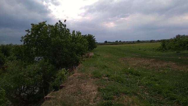 Вечер, встречаю коров с пастбища. смотреть онлайн