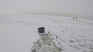 Корюшка на Финском заливе. Песочное