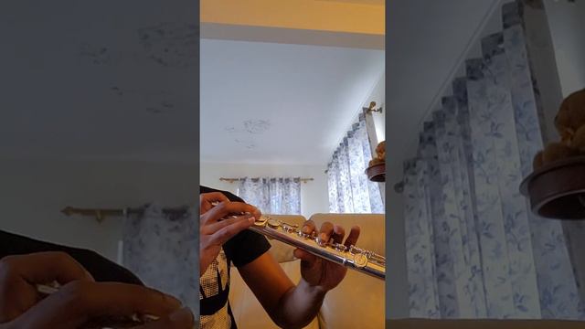 River flows in you - Flute cover (violent style) смотреть онлайн