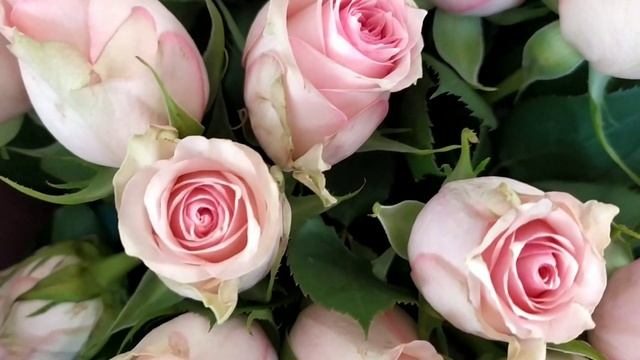 Для тех кто любит дарить и получать в подарок , цветы!??? смотреть онлайн