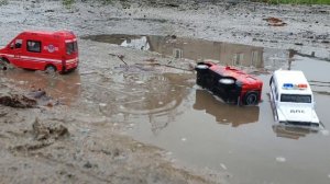 Пожарная и полицейская машинки застряли в грязи Cars Toys