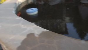 К нам в гости приехали ТикТокеры... | Влог с Yolo House