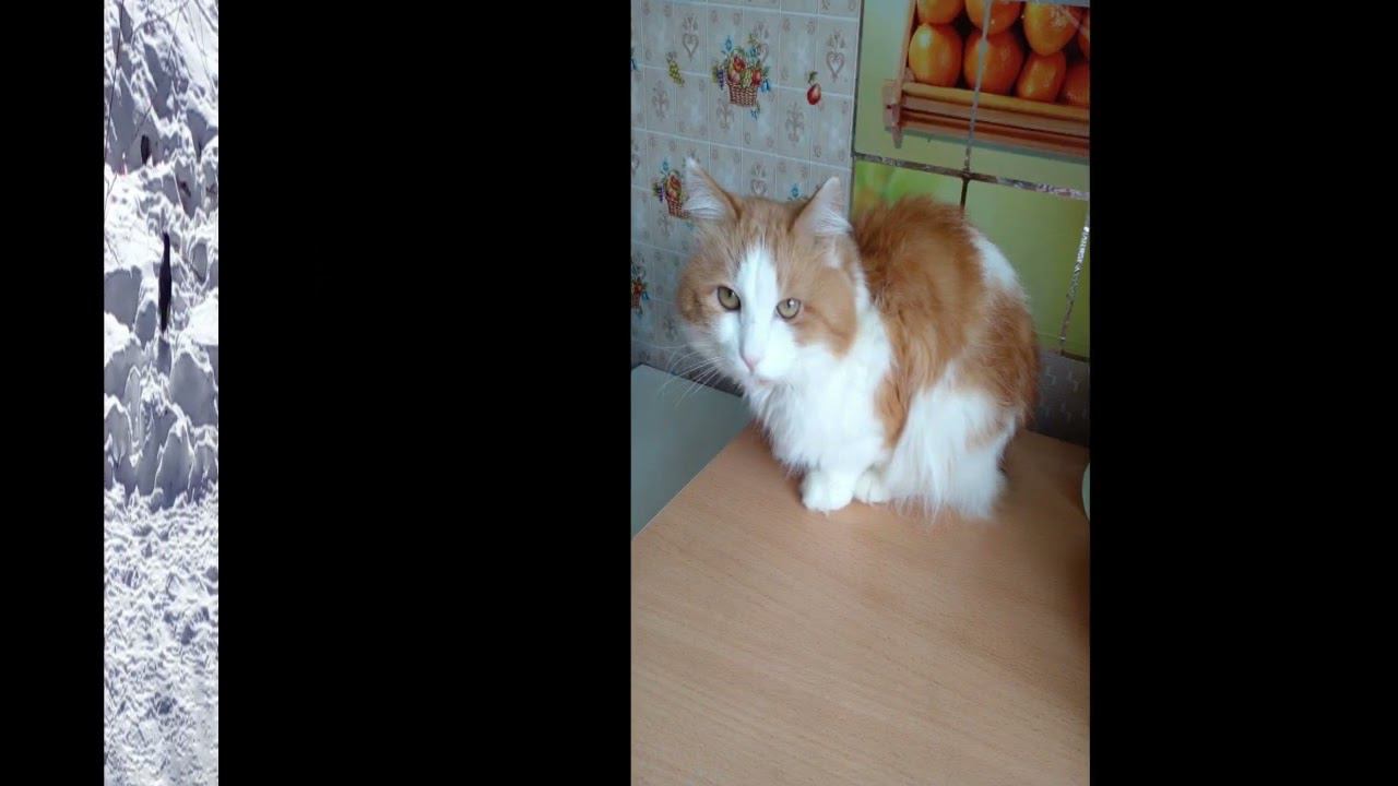 ВЕСНА ПРИШЛА смотреть онлайн