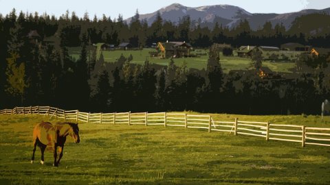 Ranch Simulator - Симулятор Ранчо #5 Боремся со свиньями и фризами