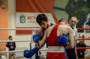 Кубок главы города Лангепаса по боксу