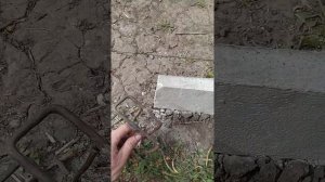 Высокие грядки из самодельных бетонных бардюр