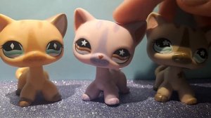 Lps распаковка редкая стоячка(5.3)