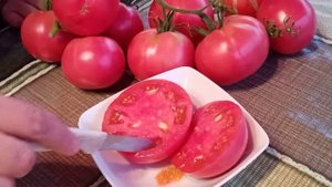 Томат Церковь. Чудесный сорт с красивыми плодами — томат Церковь