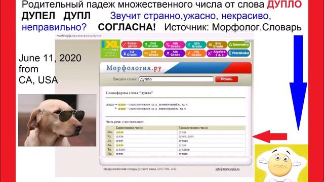 НЕТ ДУПЕЛ ДУПЛ РОДИТЕЛЬН ПАДЕЖ МНОЖ ЧИСЛА ОТ СЛОВА ДУПЛО AND MY BOOKS JUNE 11 2020 смотреть онлайн