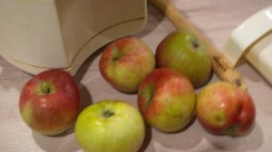 Яблочный сок на зиму через соковыжималку