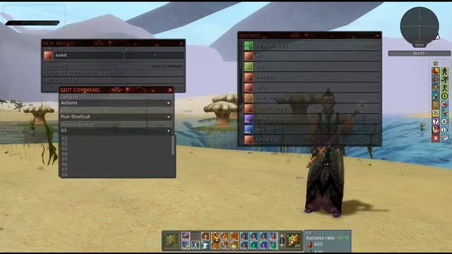 Ryzom Tips: Assist Macro смотреть онлайн