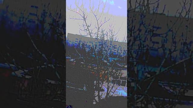 Моя школа номер 75 смотреть онлайн