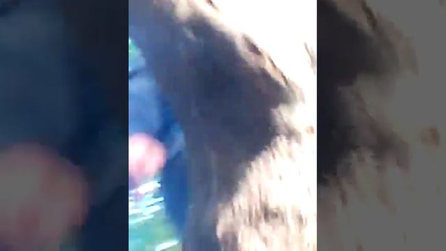 Яйца зудяд смотреть онлайн