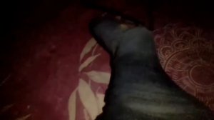 Самсунг GT-E1200R (видео обзор)