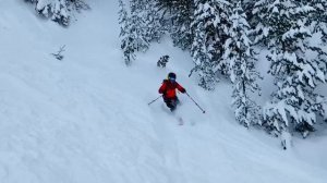 Anton Ski School в Банско, лесной фрирайд