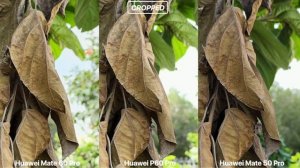 Huawei Mate 60 Pro VS Huawei P60 Pro VS Huawei Mate 50 Pro Camera Test
