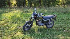 зид сова 175,опыт обслуживания в 2023