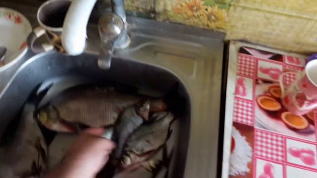 ПОДАРИЛИ СУМКУ С РЫБОЙ НА РАБОТЕ. ПЕРВЫЙ ДЕНЬ РАБОТАЮ ПОСЛЕ ТРЁХ МЕСЯЦЕВ ОТПУСКА.