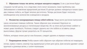 Формируем азалию  Обрезка азалии