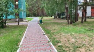 Лагерь СЕРЕБРЯНЫЙ БОР. Сына в лагерь отправляю
