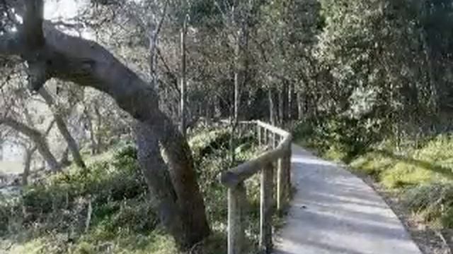 Noosa Headland - Virtualwalkabout, Noosa National Park, Queensland, Australia смотреть онлайн