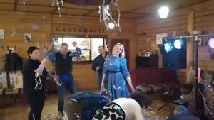 Серебряное шоу Липецк, Грязи, Воронеж, Усмань.