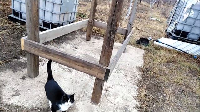 Про Дачу! смотреть онлайн