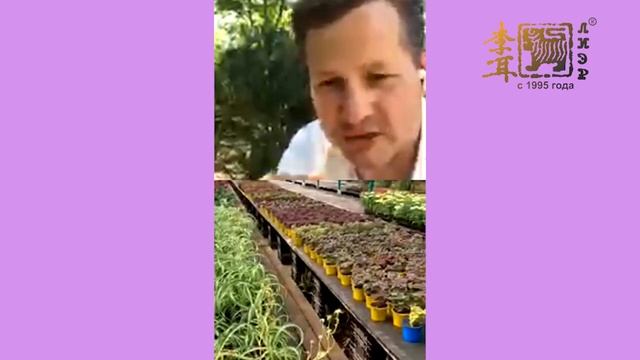 #ОБЕДсВАСЕЦКИМ с Романом Харченко о лучшей рассаде цветов в Москве и МО